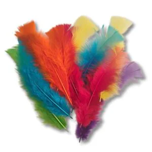 Plumas para Manualidades 14cm aprox